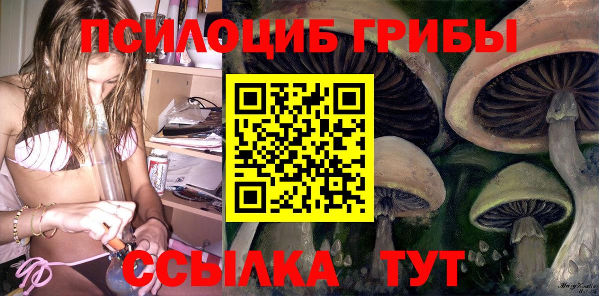 Приморско-Ахтарск  закладки  Вход с VPN  Галлюциногенные грибы Psilocybine cubensis 