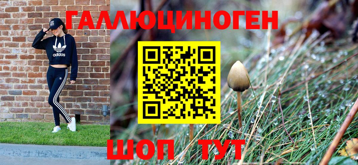 Галлюциногенные грибы MAGIC MUSHROOMS Приморско-Ахтарск